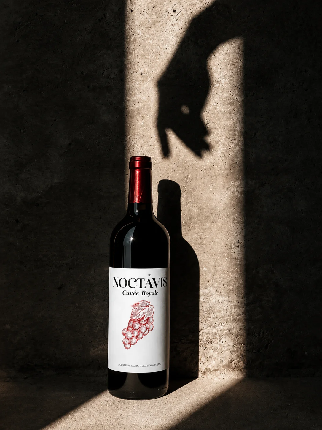 Noctavis bottle on a stone ledge beneath the shadow of a hand